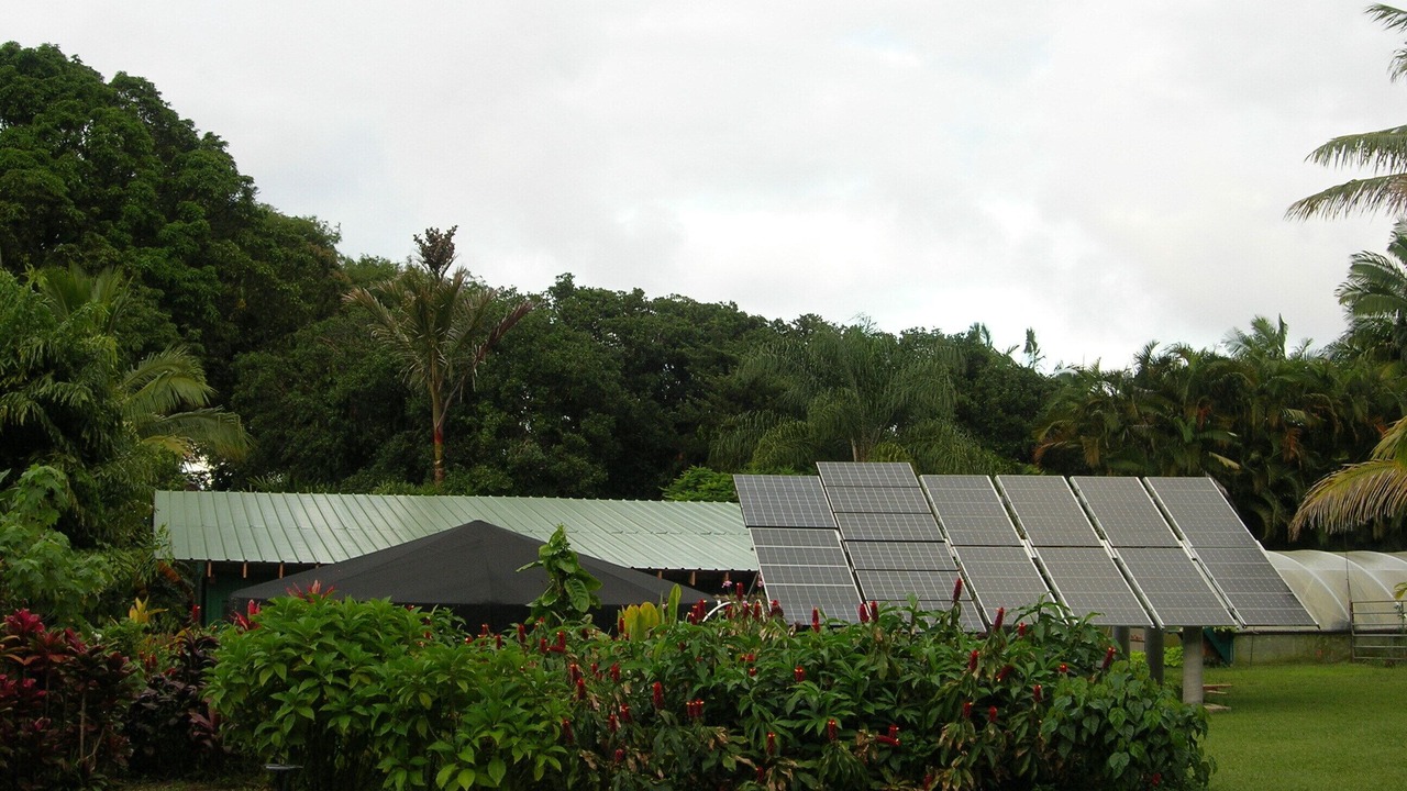 Photo of Others in Hana