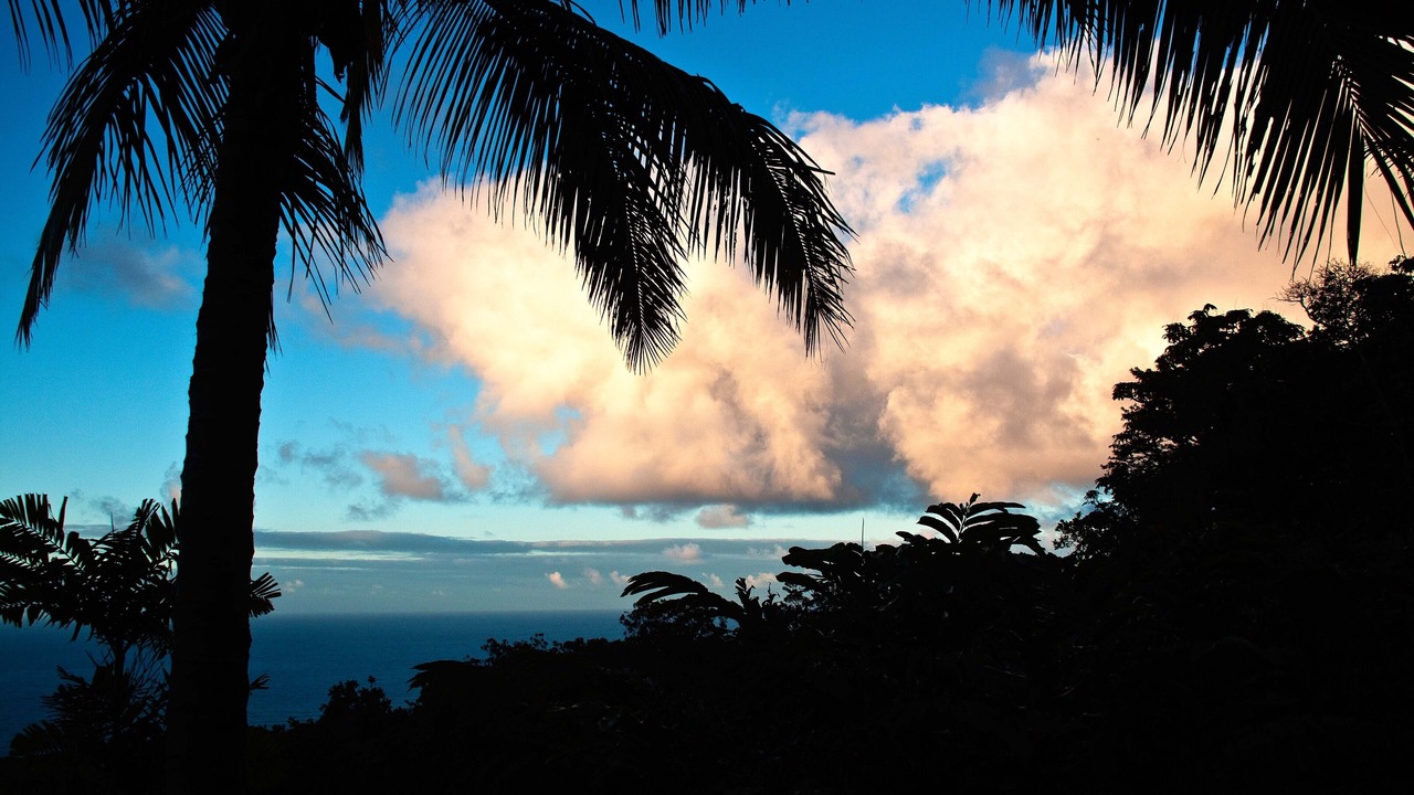 Photo of Others in Hana