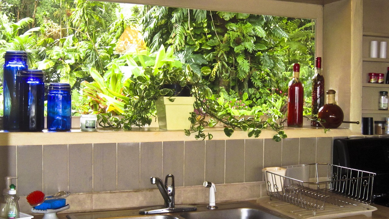 Photo of Outdoor in Hana