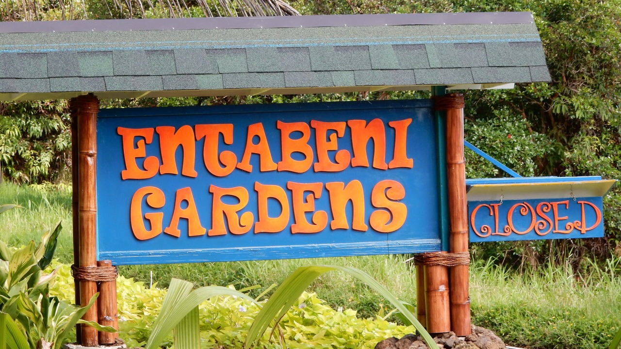 Photo of Outdoor in Hana