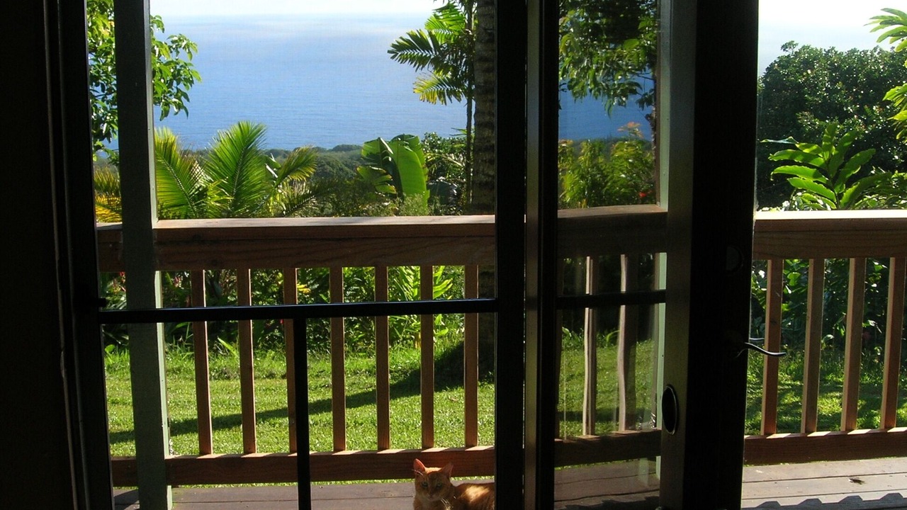 Photo of Others in Hana