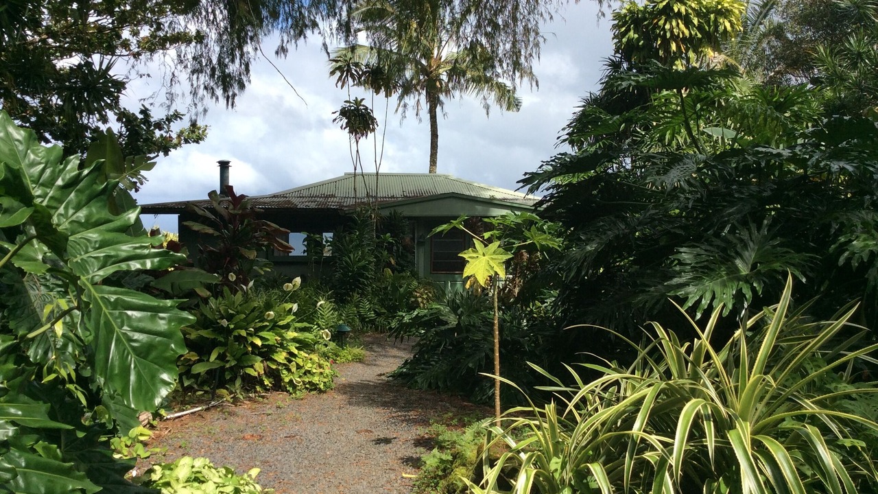 Photo of Outdoor in Hana
