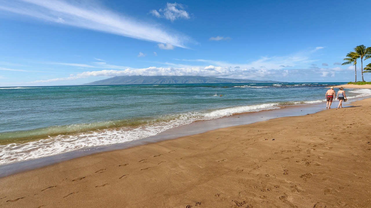 Photo of Others in Kahana