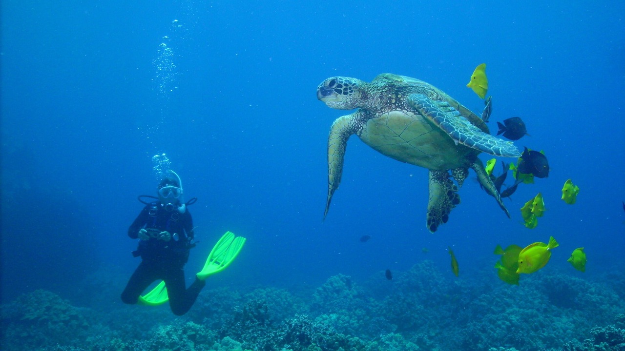 Photo of Others in Waikoloa