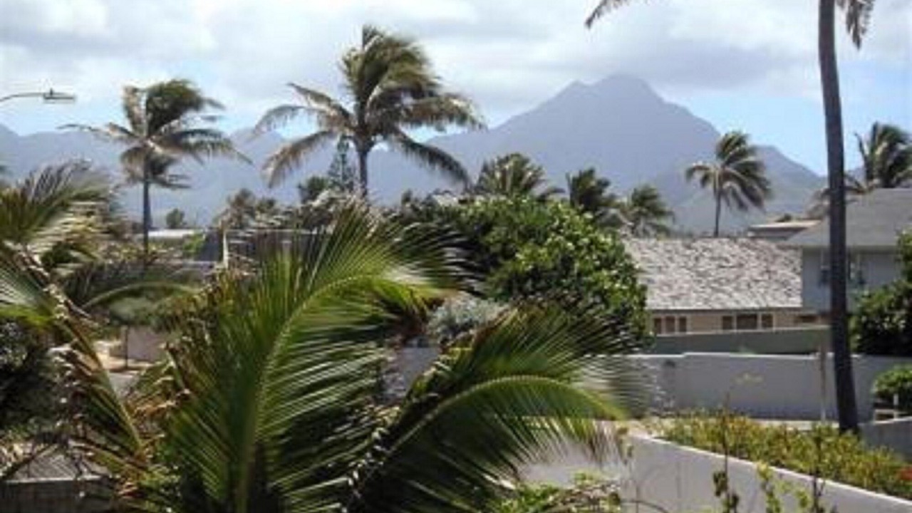 Photo of Others in Kailua