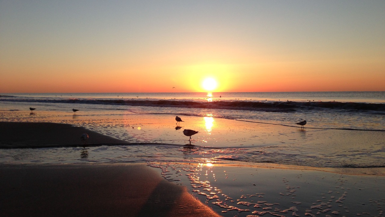 Photo of Others in Myrtle Beach