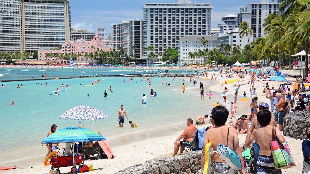 Photo of Others in Waikiki