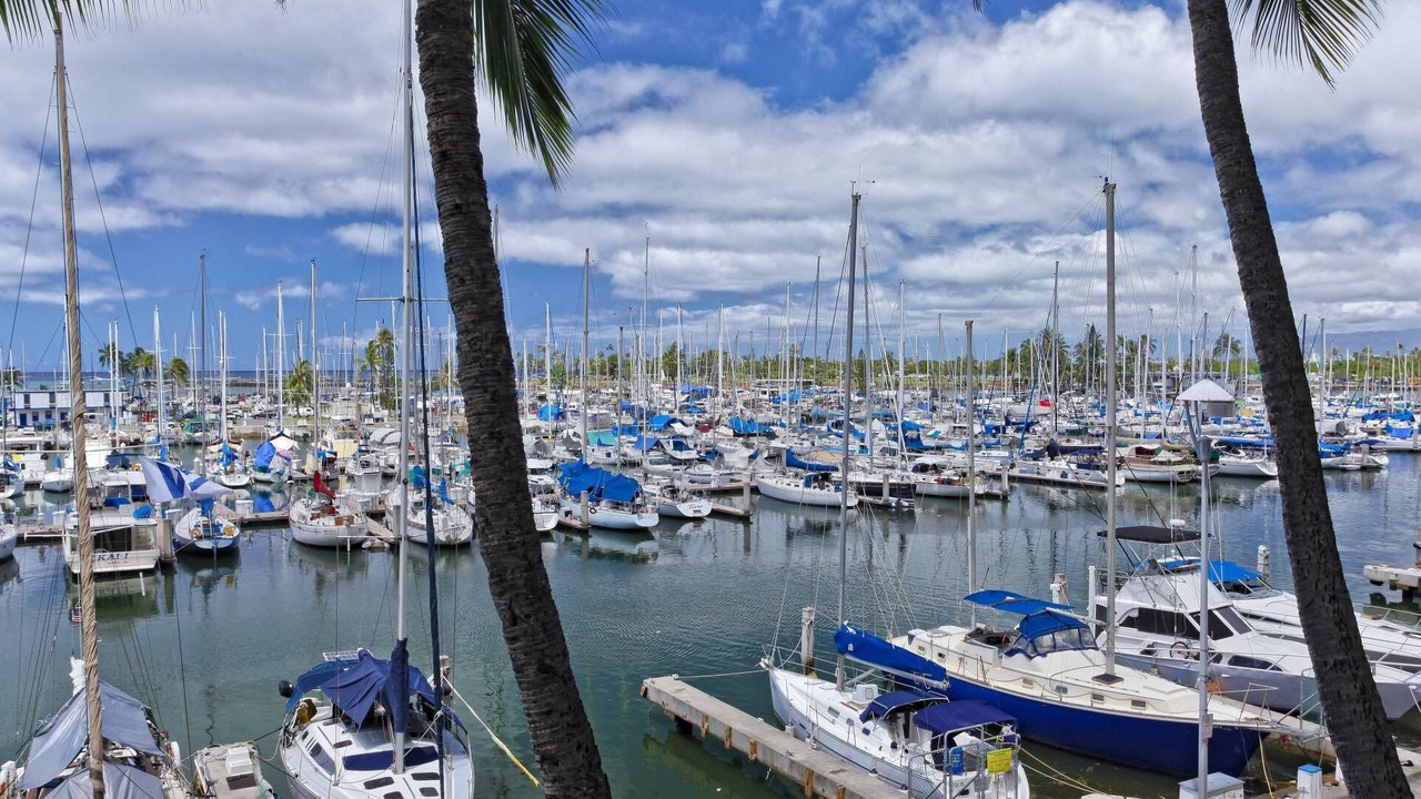 Photo of Others in Waikiki
