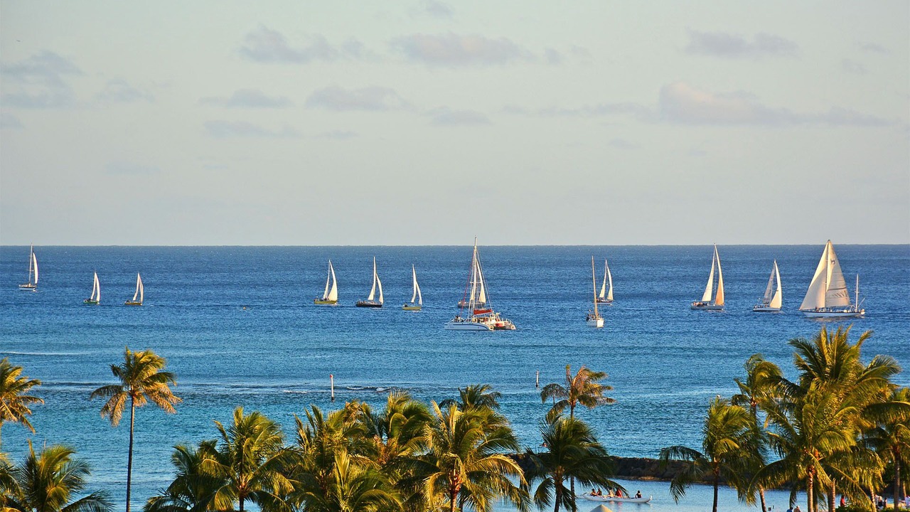 Photo of Others in Waikiki