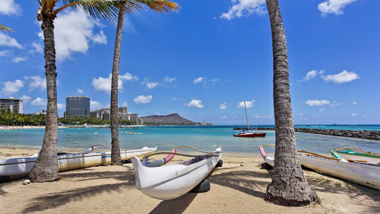 Photo of Others in Waikiki