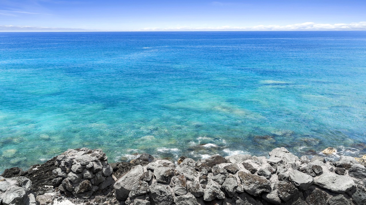 Photo of Others in Kahaluu Bay
