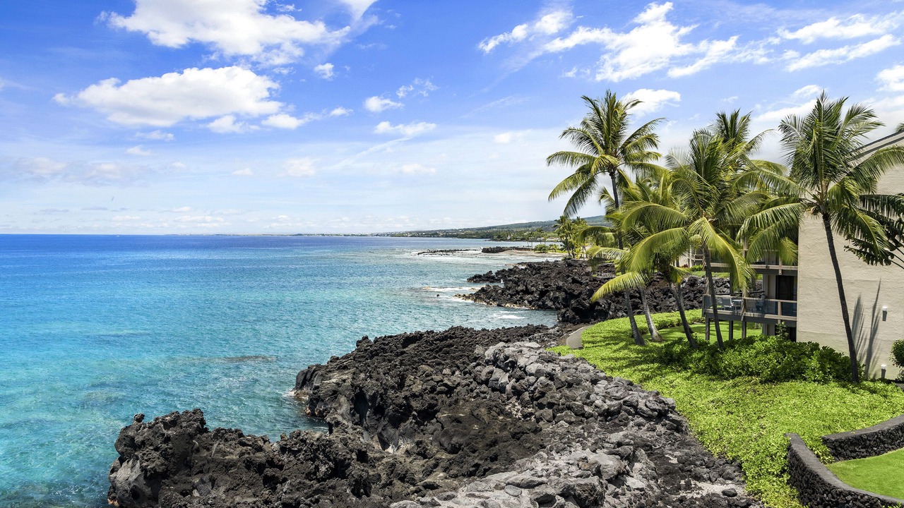 Photo of Others in Kahaluu Bay