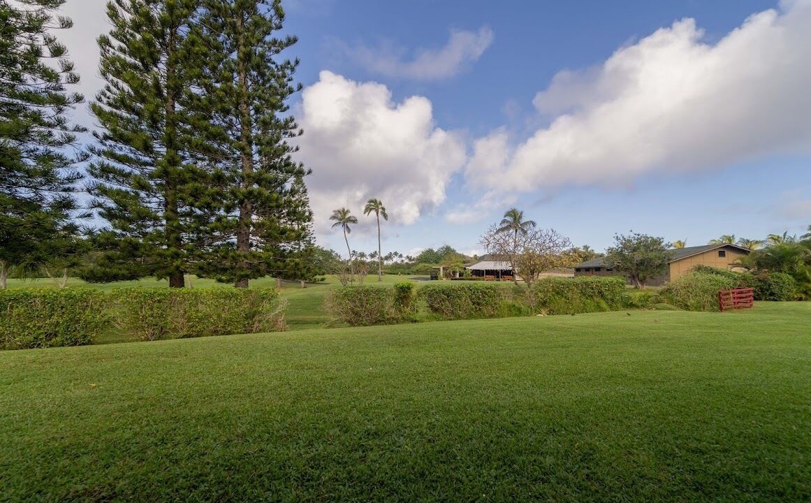 Photo of Others in Kahuku