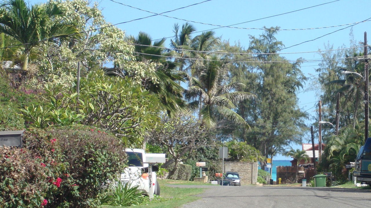 Photo of Others in Waimanalo