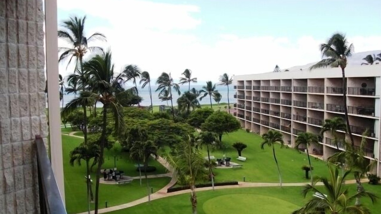 Photo of Others in Kihei