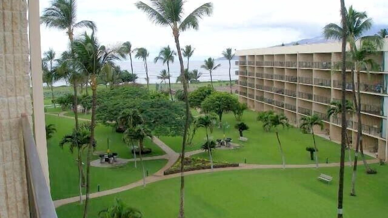 Photo of Others in Kihei