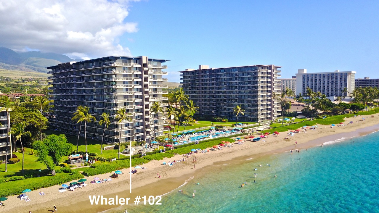 Photo of Others in Kaanapali