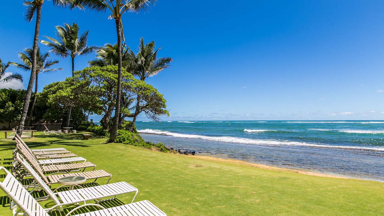 Photo of Others in Wailua