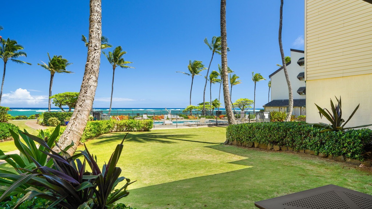 Photo of Outdoor in Wailua
