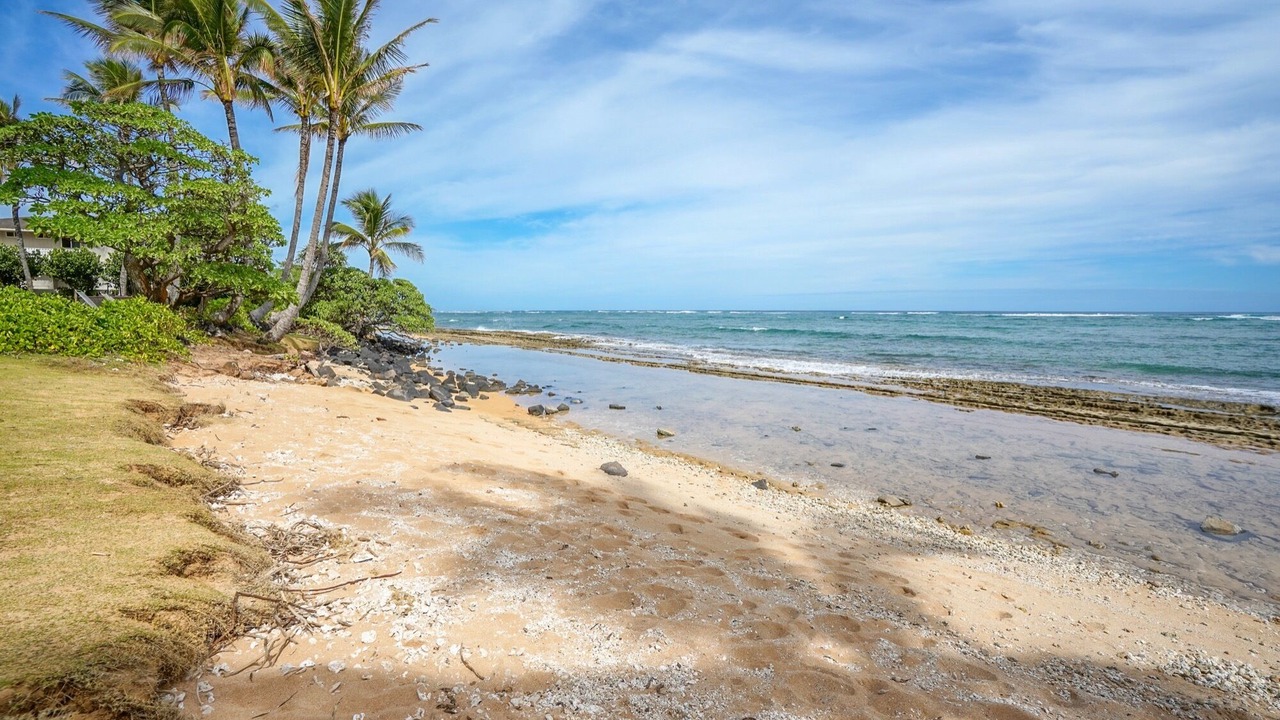 Photo of Others in Wailua