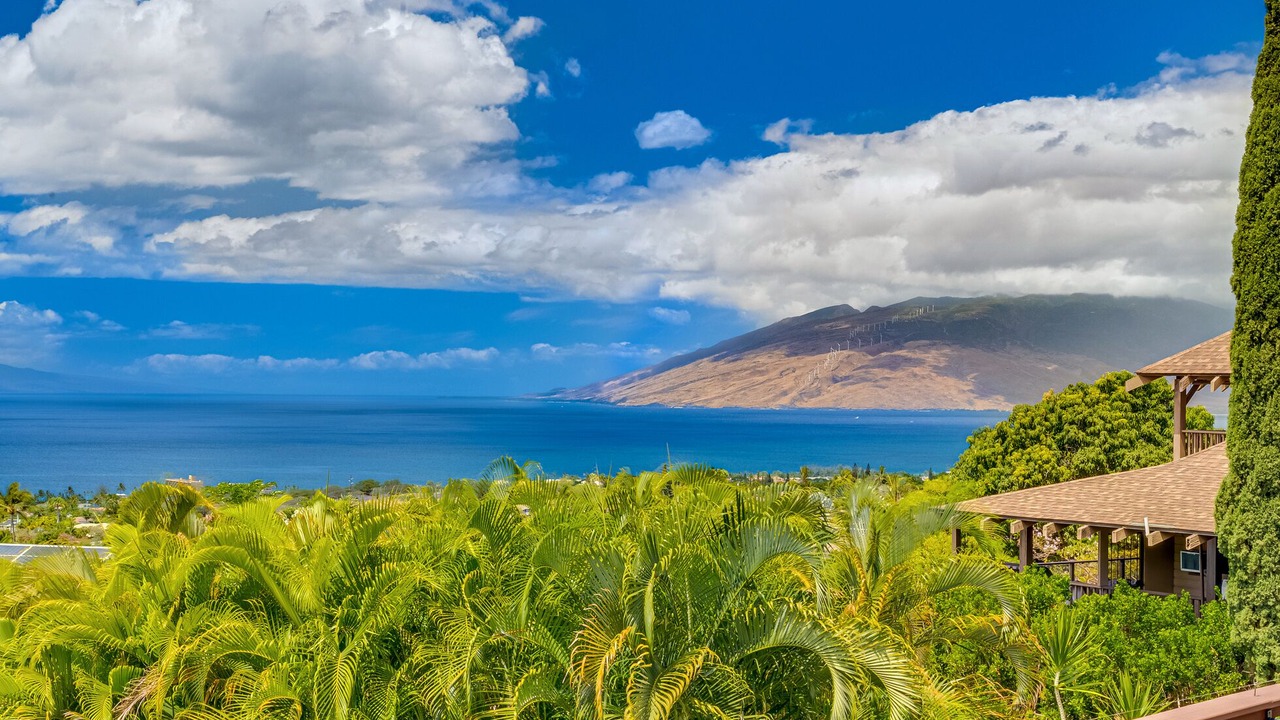 Photo of Others in Wailea