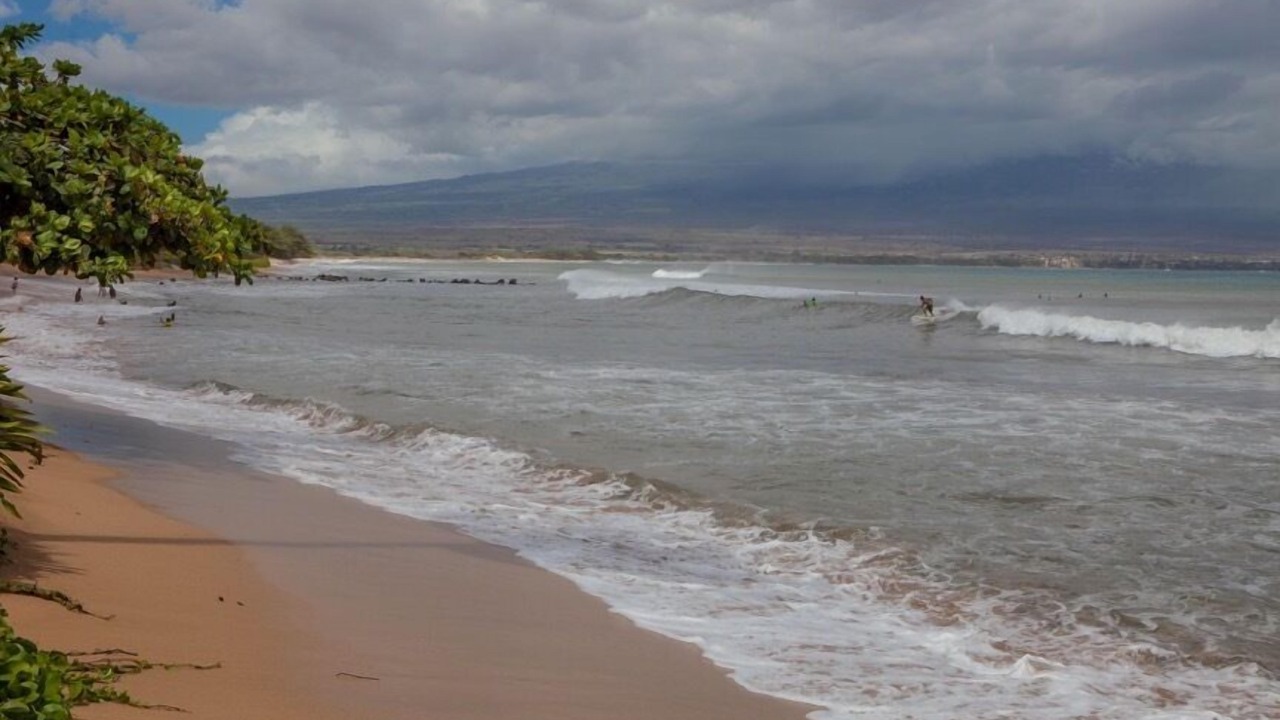 Photo of Others in Maalaea