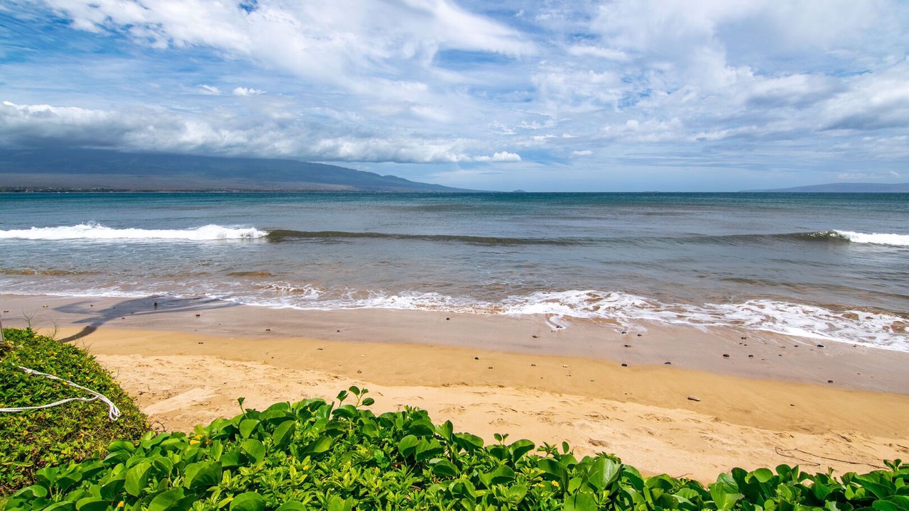 Photo of Others in Maalaea