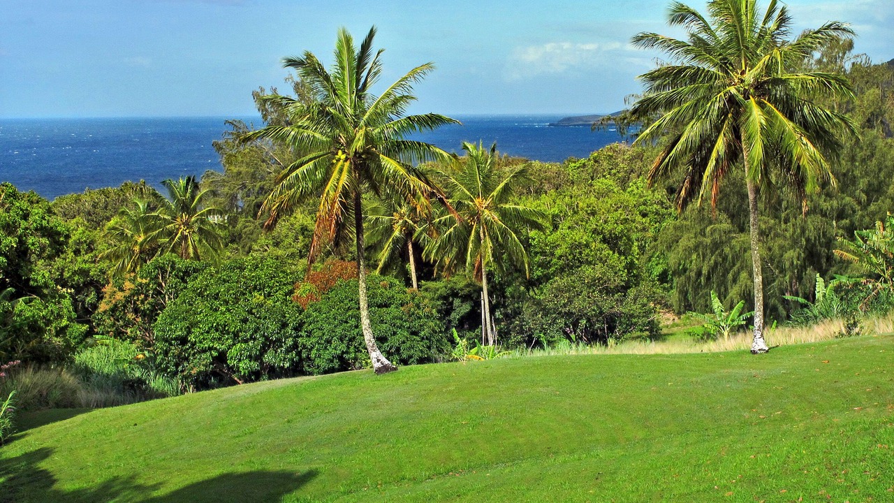 Photo of Others in Hana