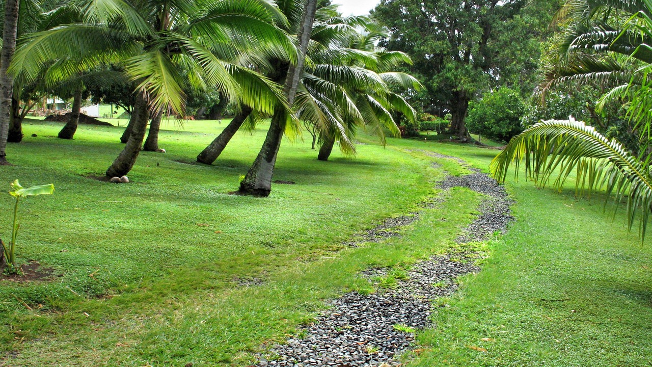 Photo of Others in Hana