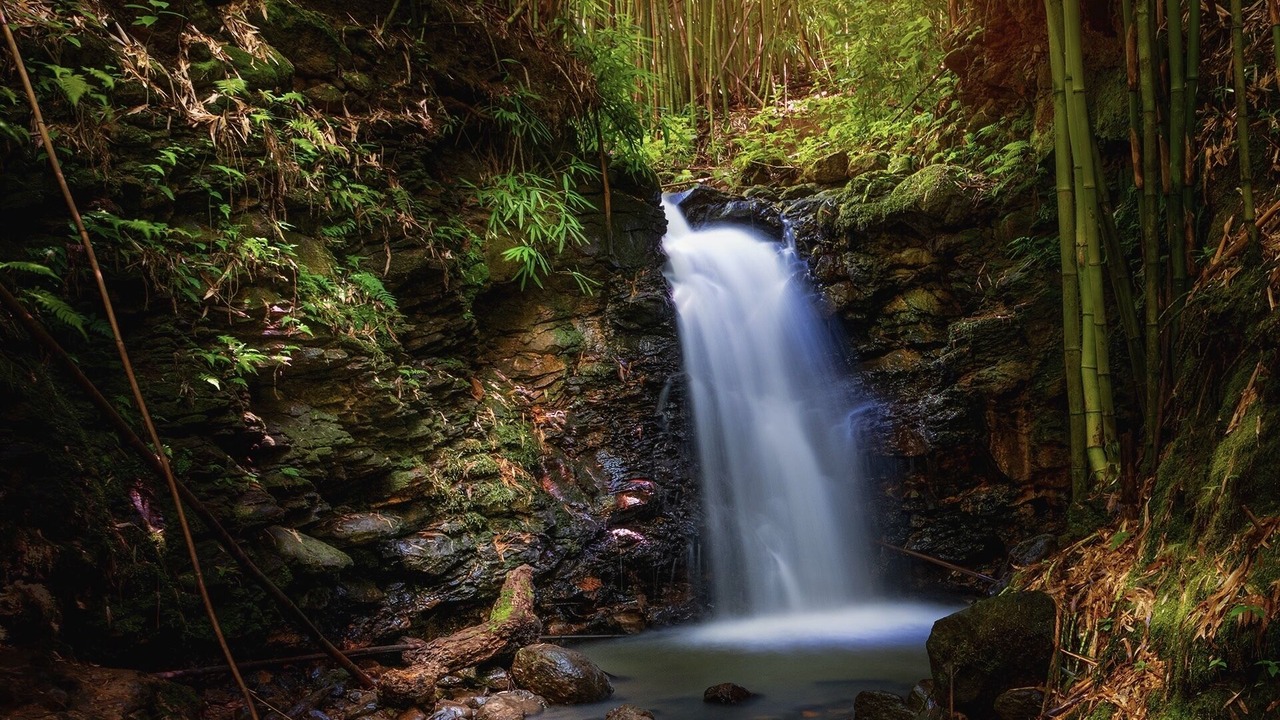 Photo of Others in Hana