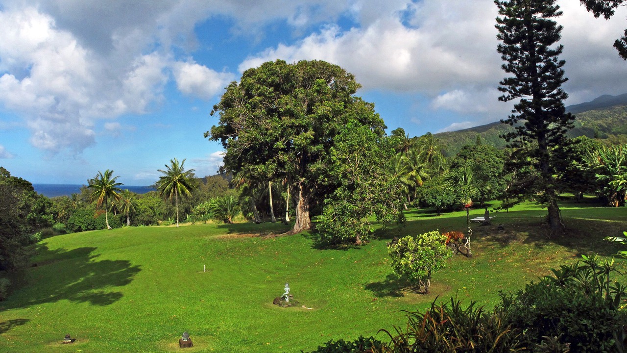 Photo of Bedroom in Hana
