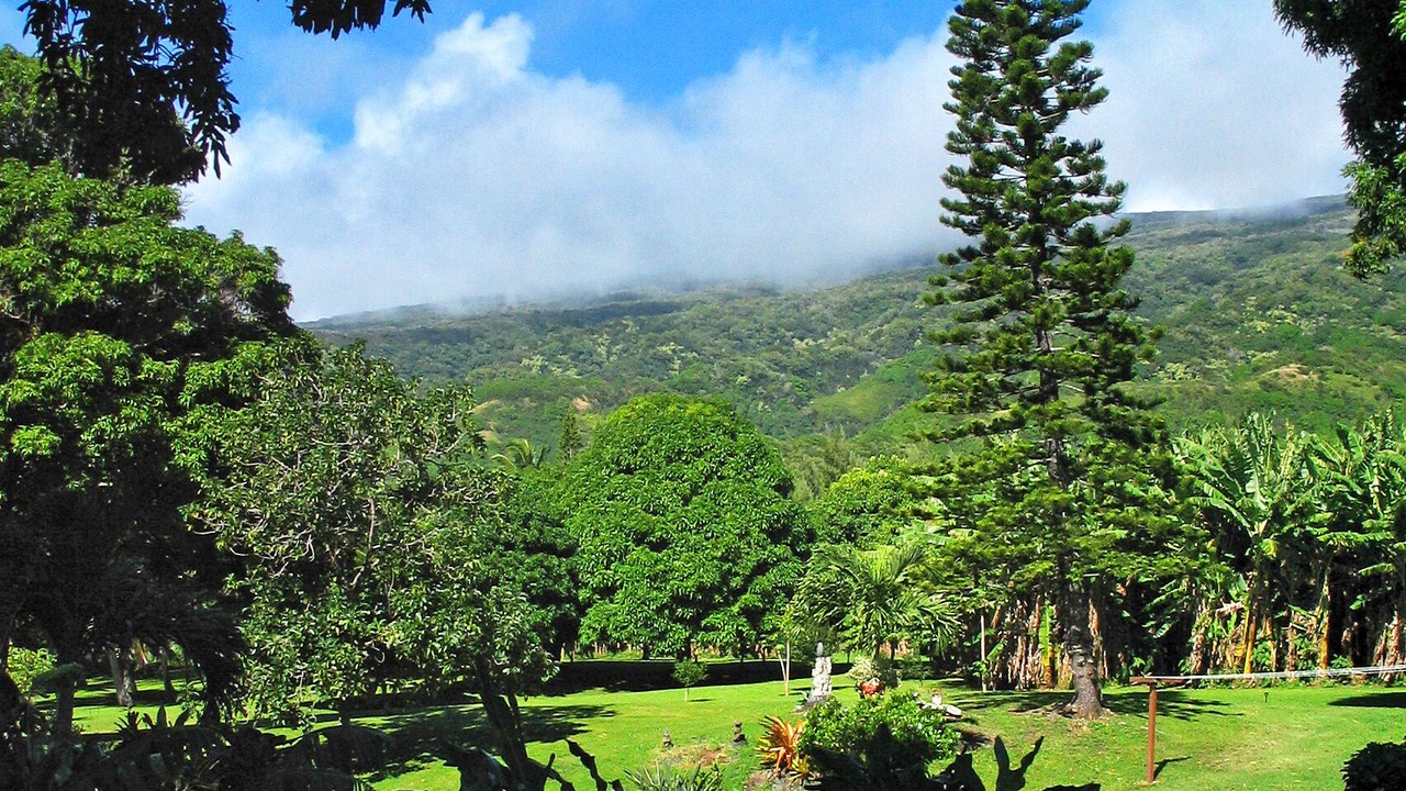 Photo of Others in Hana