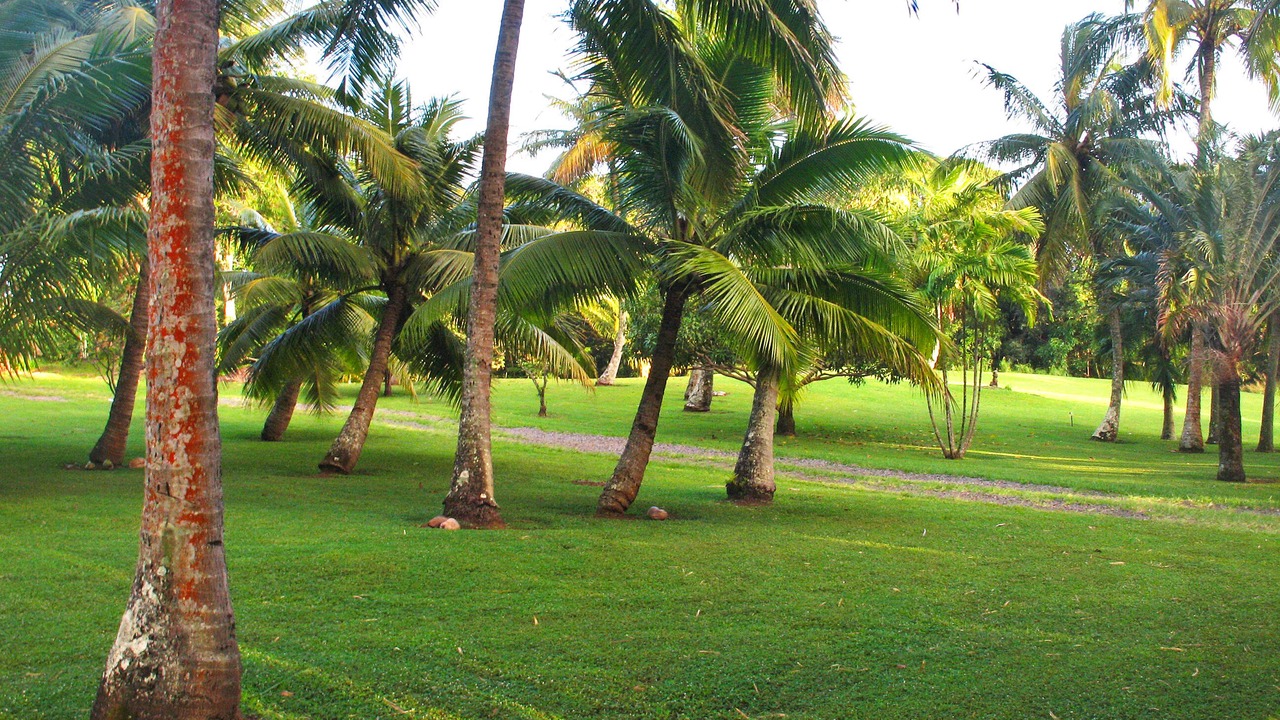 Photo of Others in Hana