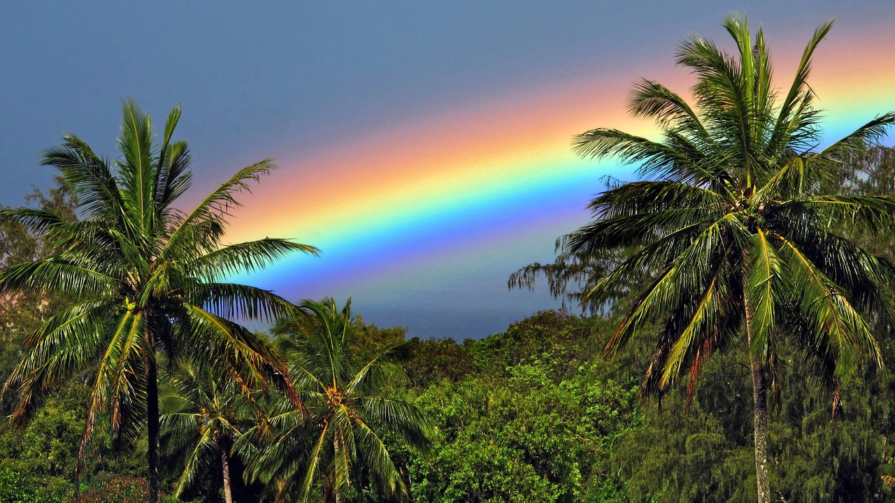 Photo of Others in Hana