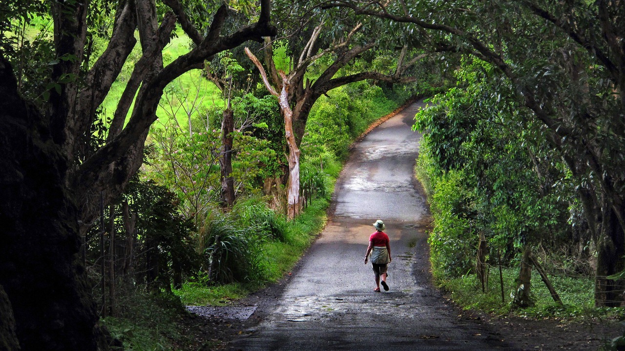 Photo of Others in Hana