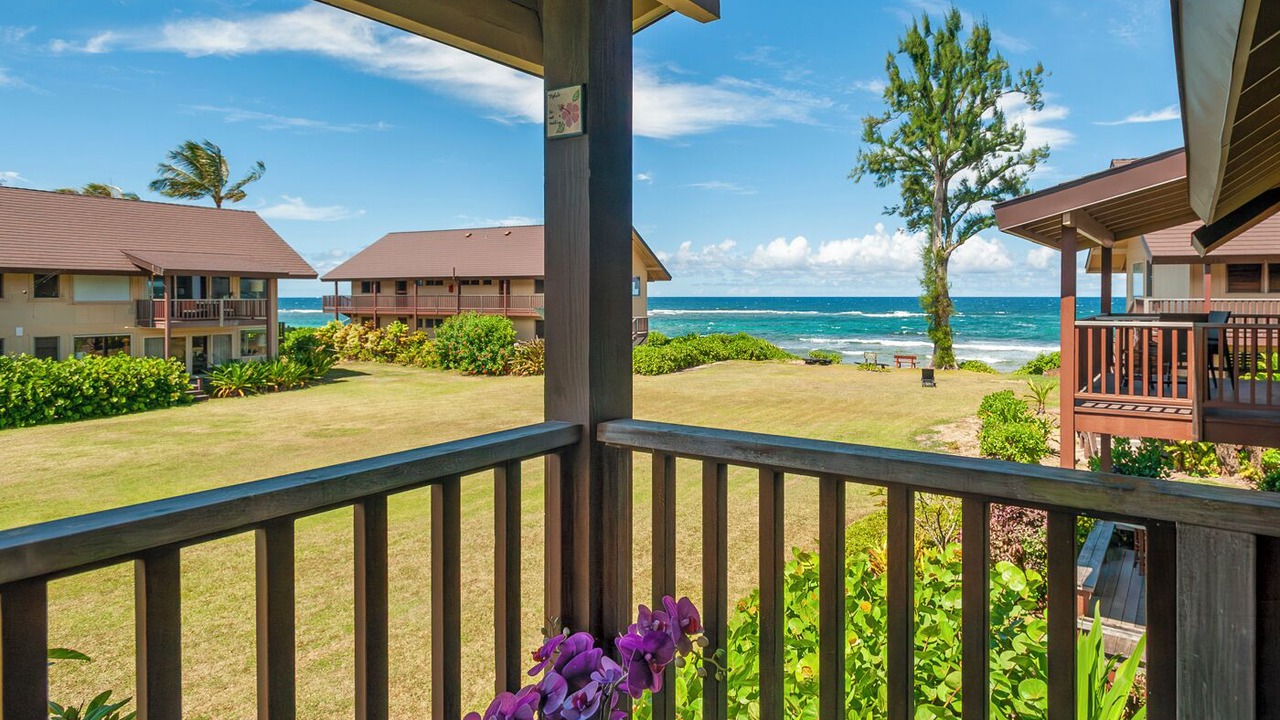 Photo of Patio Balcony in Wainiha