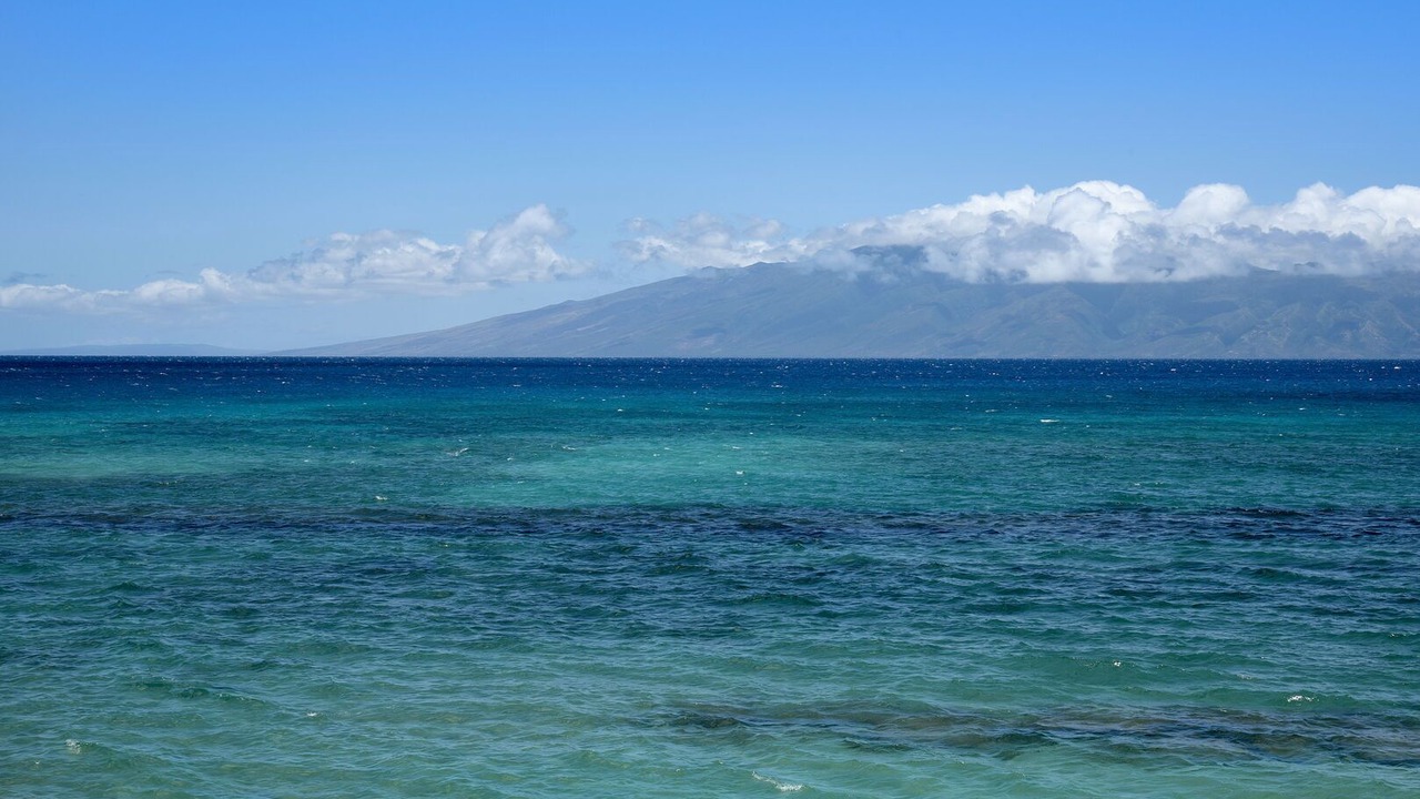 Photo of Others in Honokowai