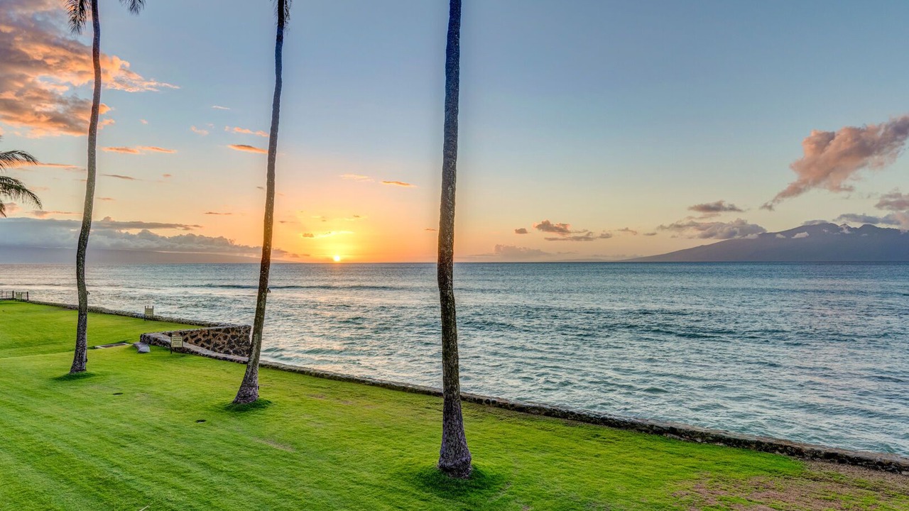 Photo of Others in Honokowai