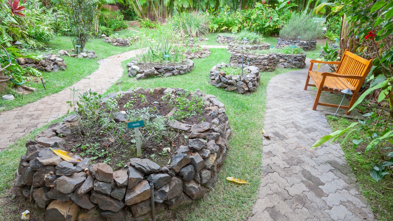 Photo of Others in Wailea