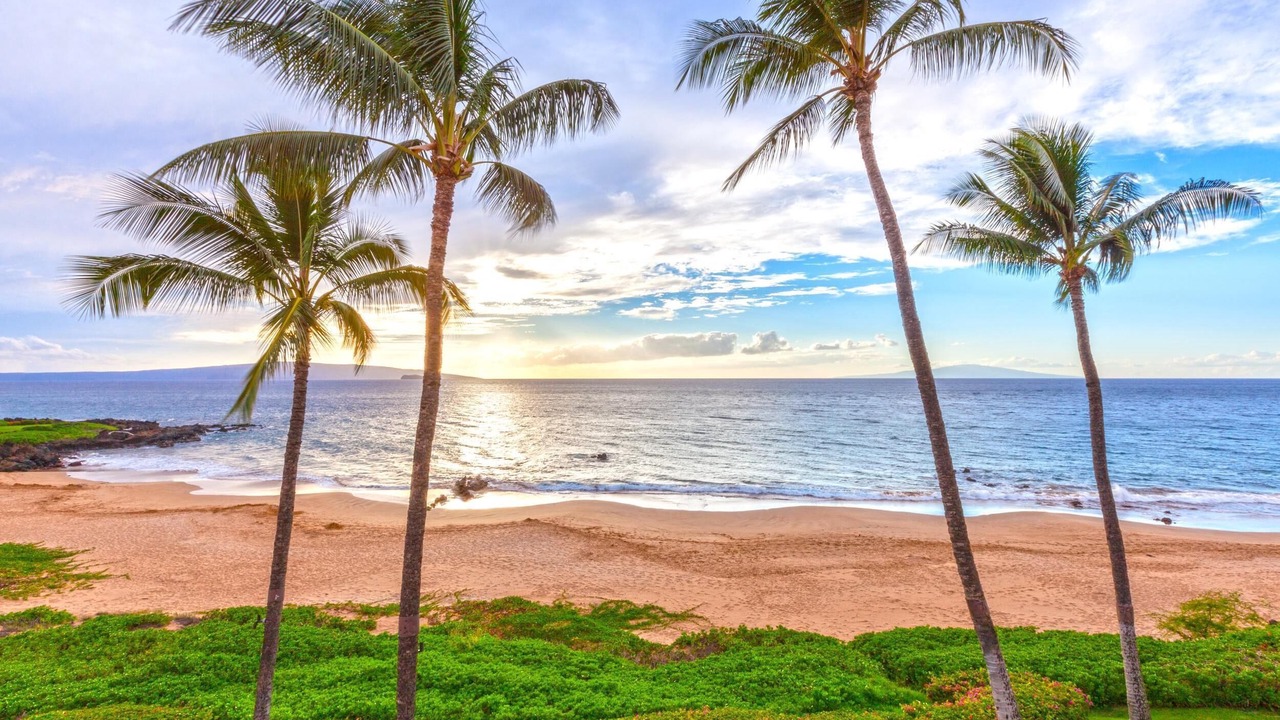Photo of Others in Wailea