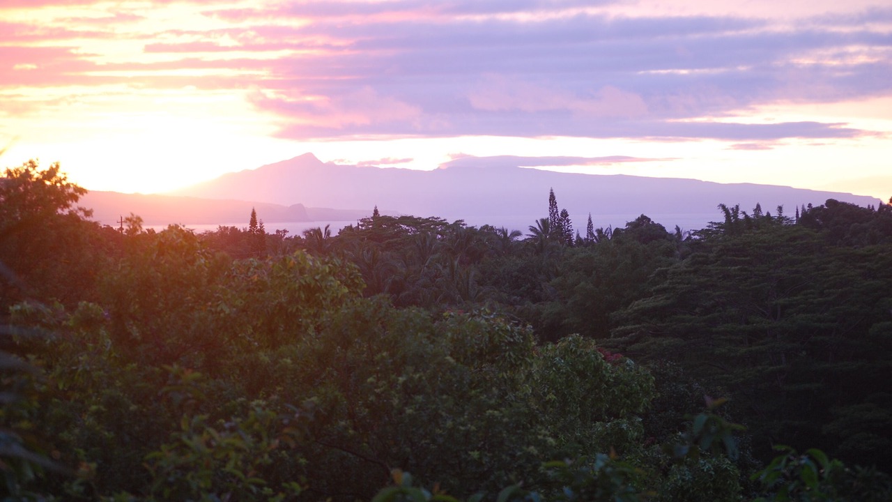 Photo of Outdoor in Pauwela