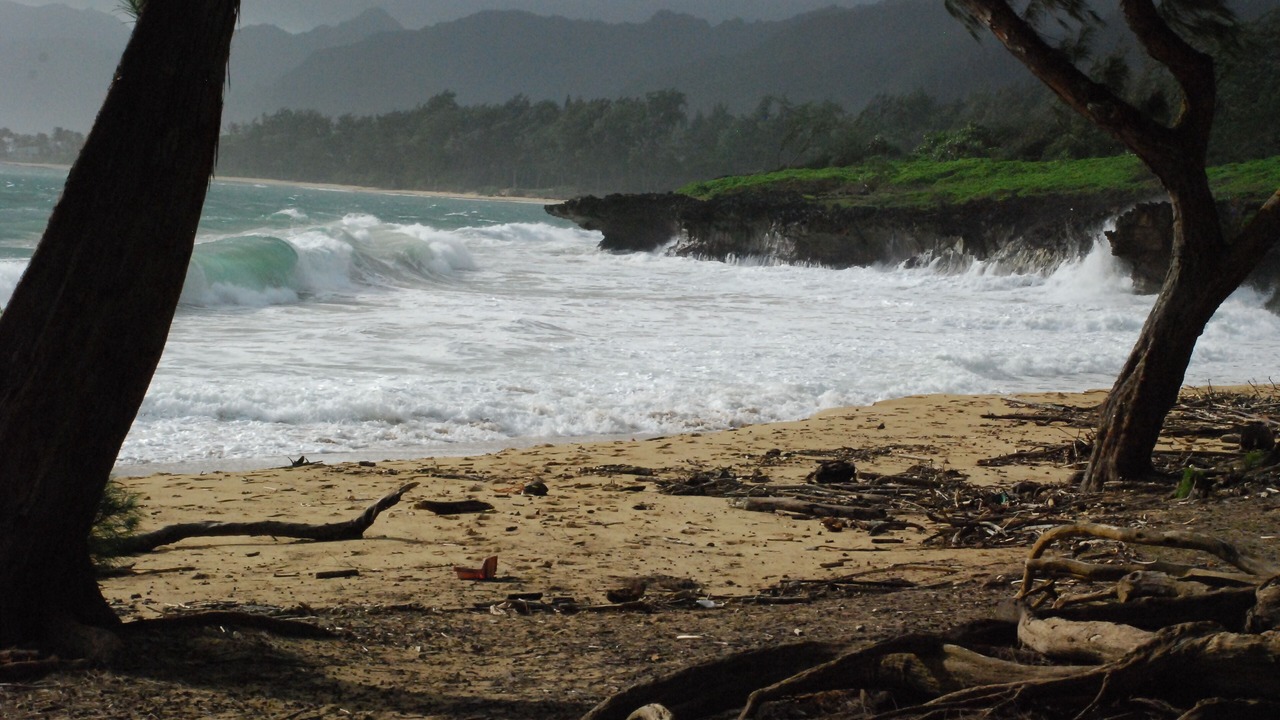 Photo of Others in Hauula