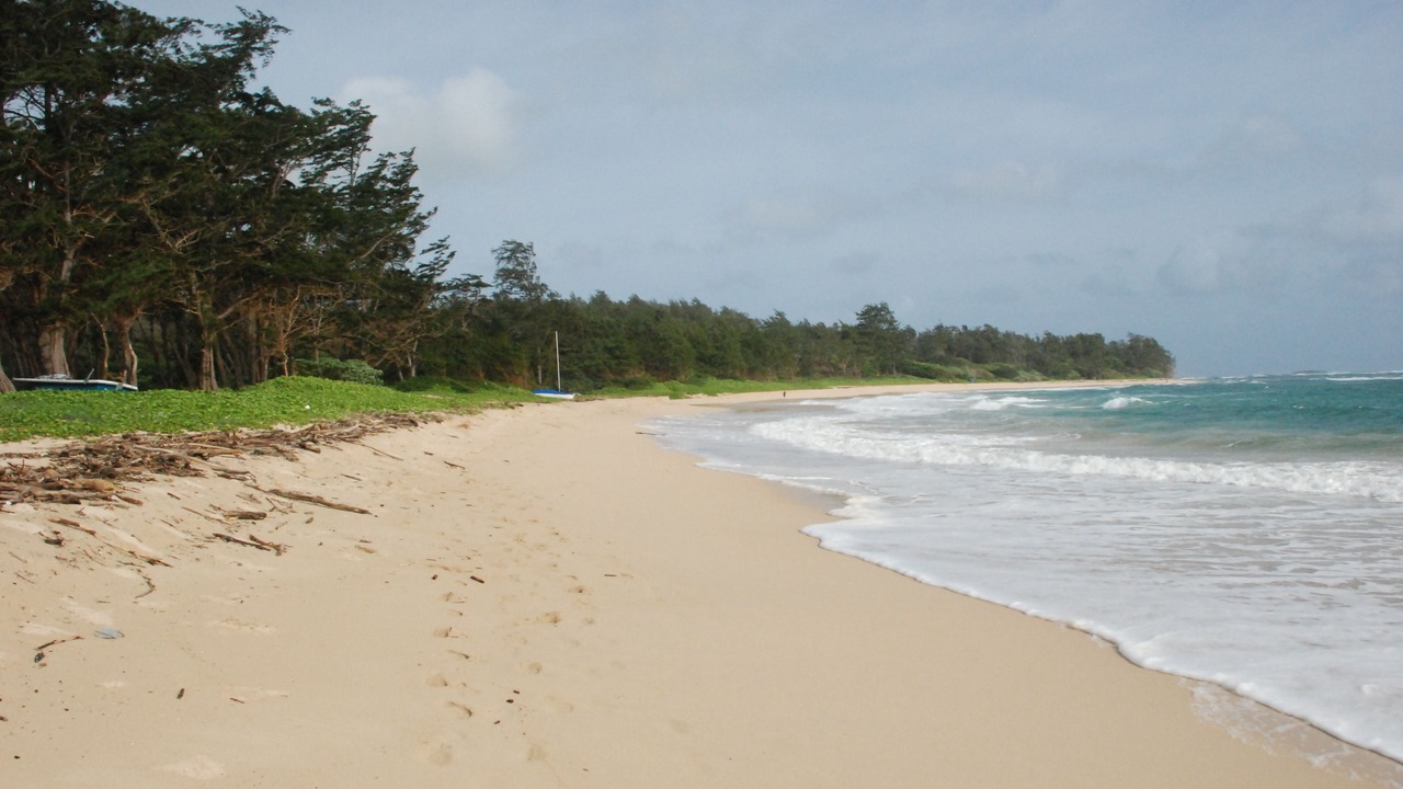Photo of Others in Hauula