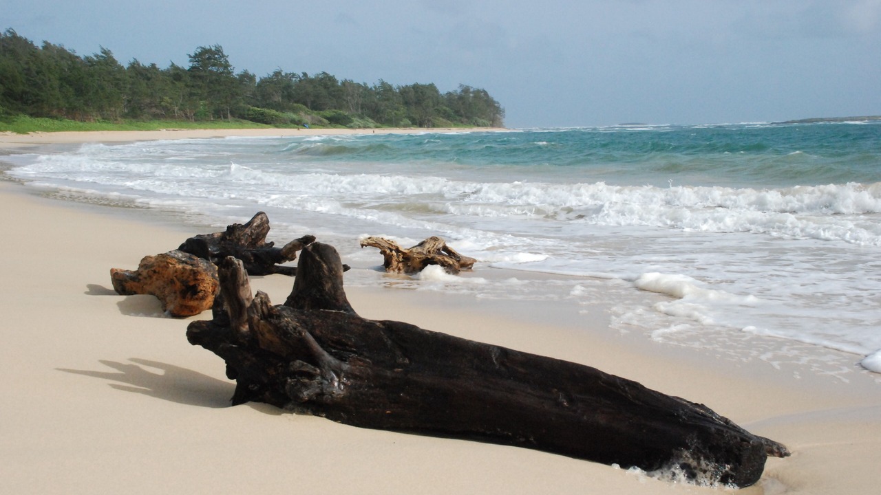 Photo of Others in Hauula