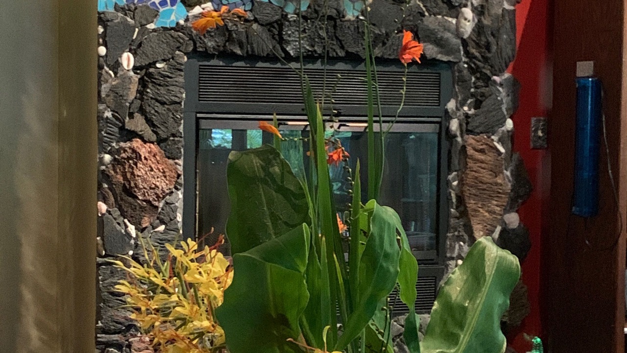 Photo of Others in Ohia Estates