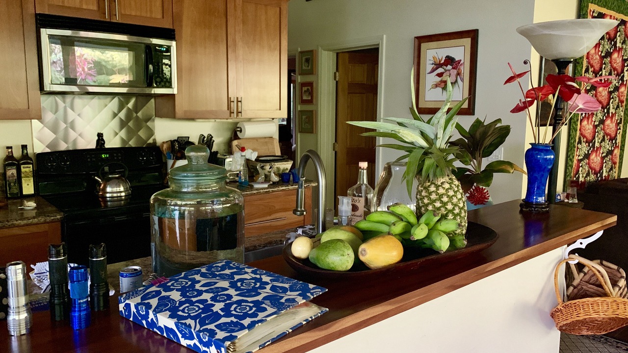 Photo of Kitchen in Ohia Estates