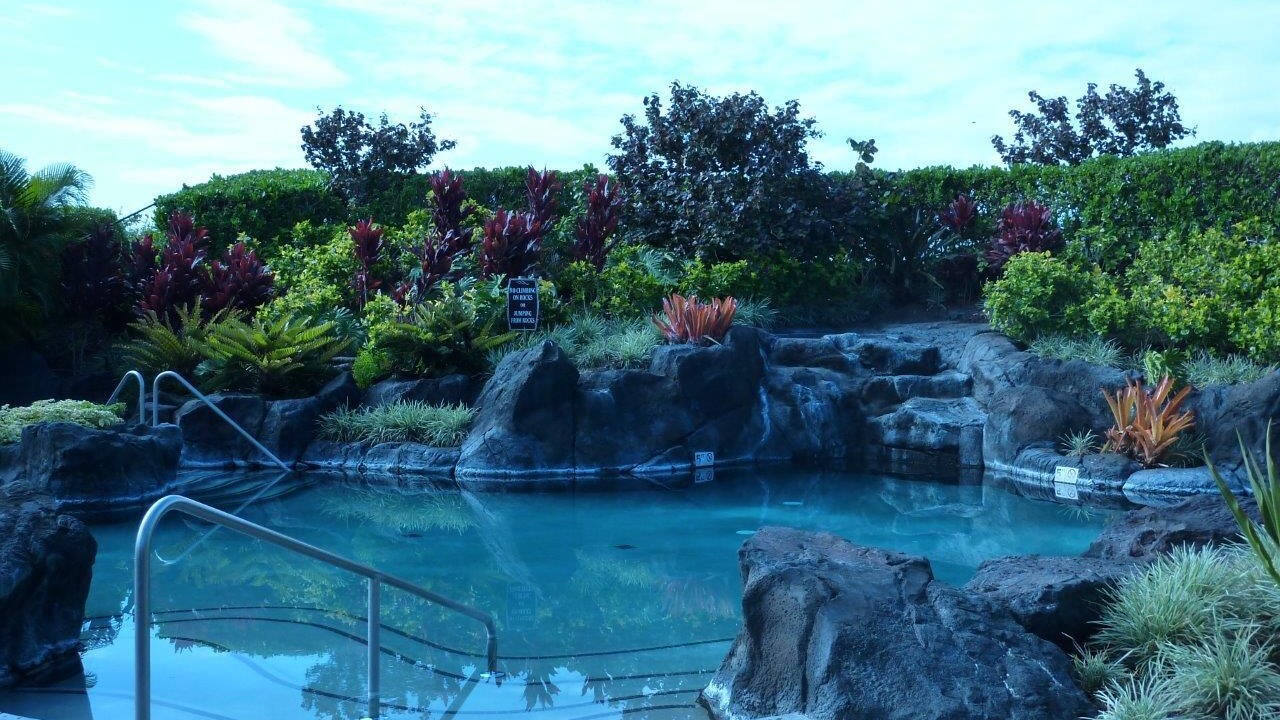 Photo of Outdoor in Waikoloa