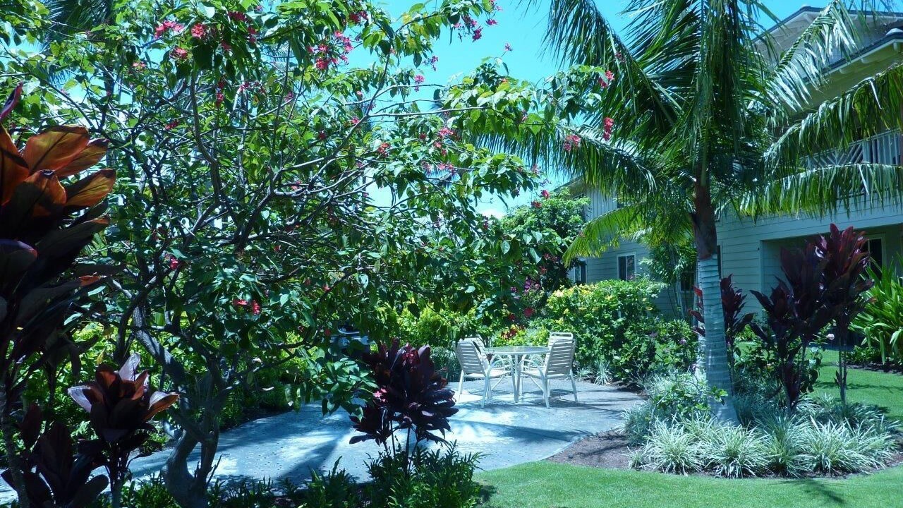 Photo of Outdoor in Waikoloa