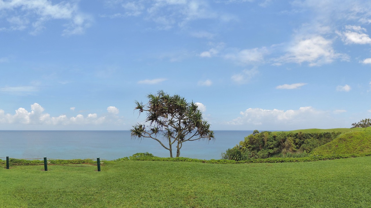 Photo of Others in Princeville