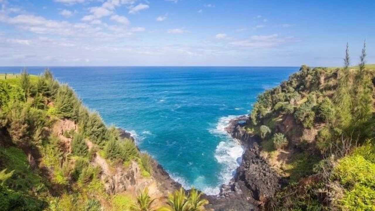 Photo of Others in Princeville